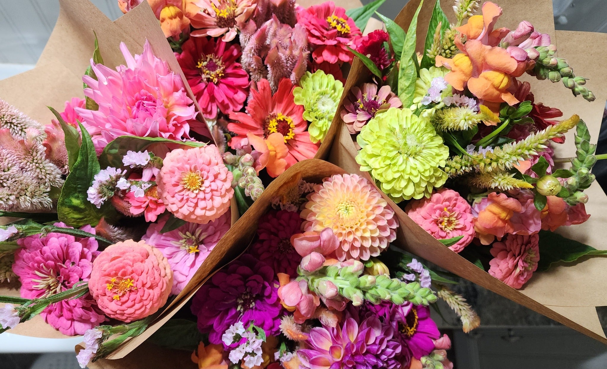 Chasing Rainbow Blooms Signature Brand & Website