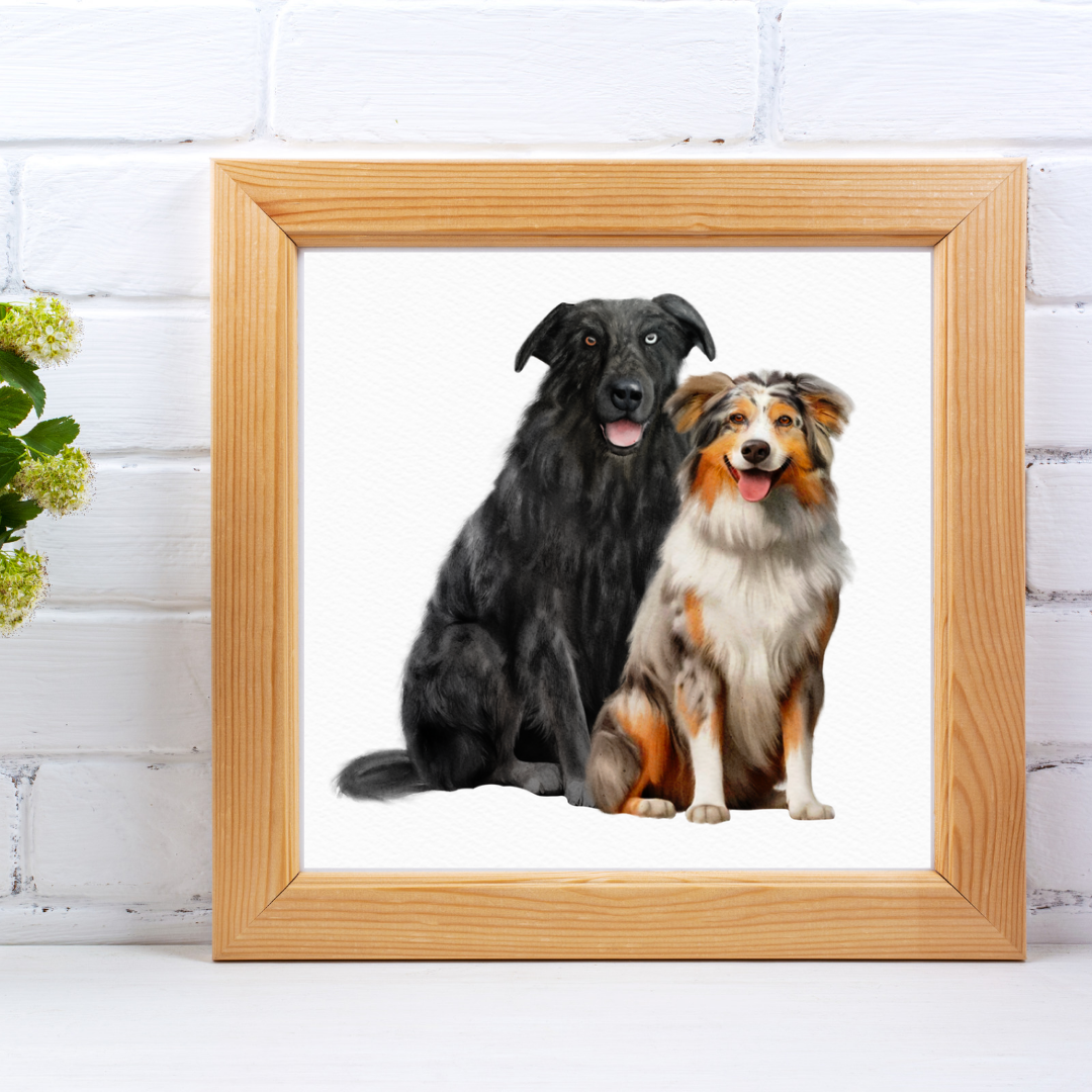 Custom Pet Portraits